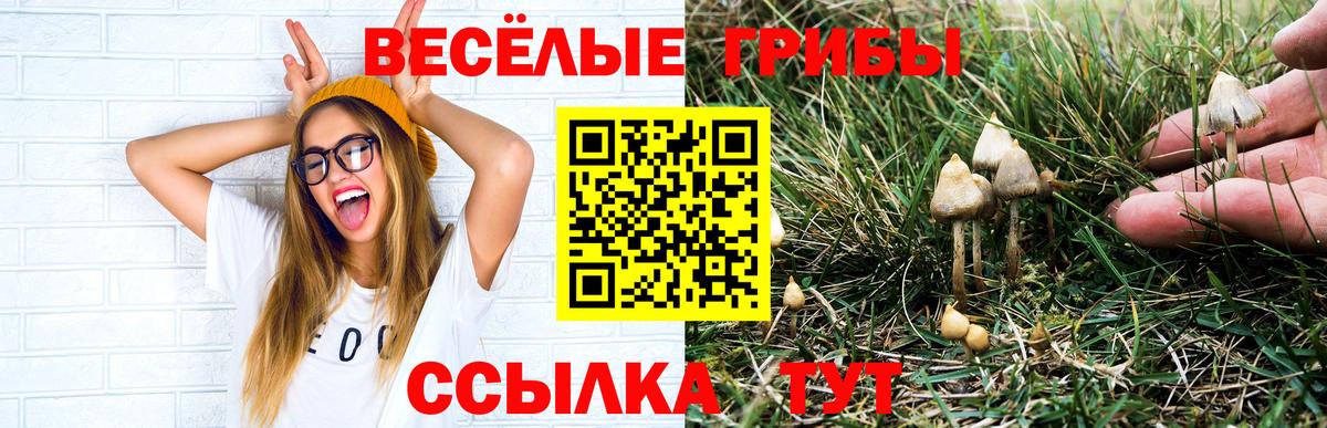 Галлюциногенные грибы мицелий Менделеевск