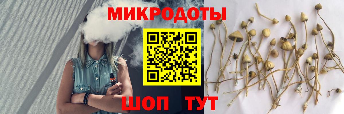 как найти закладки  Вход с VPN  Галлюциногенные грибы GOLDEN TEACHER  Менделеевск  Псилоцибиновые грибы Psilocybe 